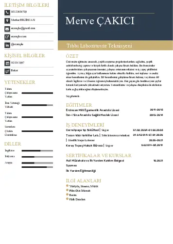 Laboratuvar Teknisyeni Cv Örnekleri cv indir